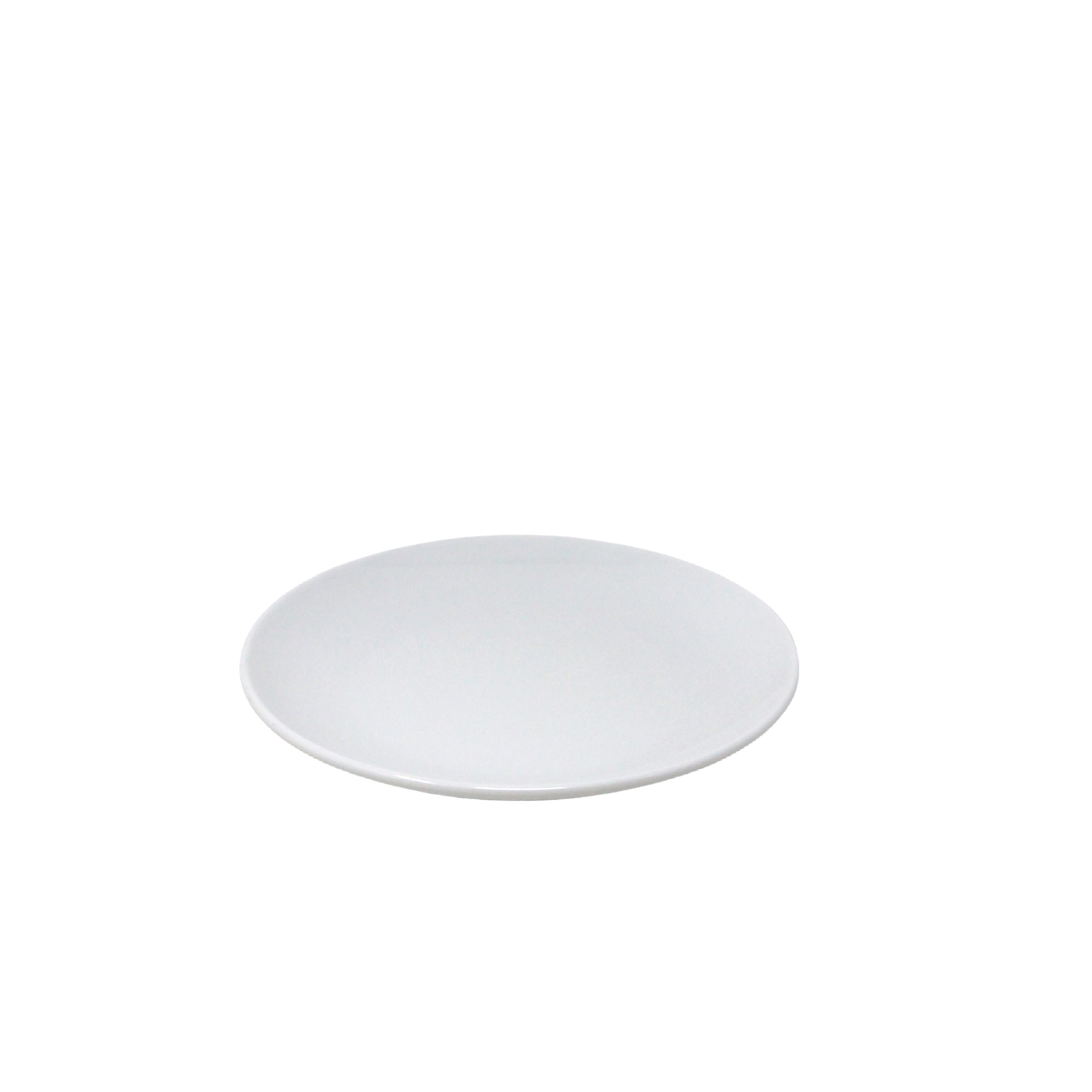 Shape Round Plate Foam 6.3"