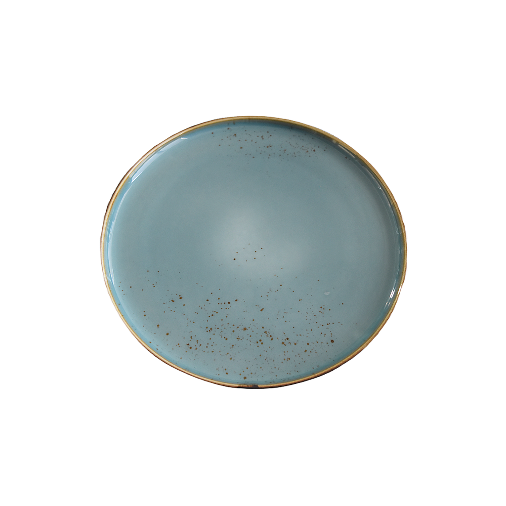 Terra 11" Round Plate Dap-Blue