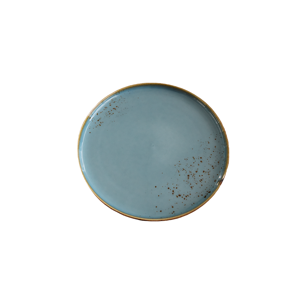 Terra 9.5" Round Plate Dap-Blue