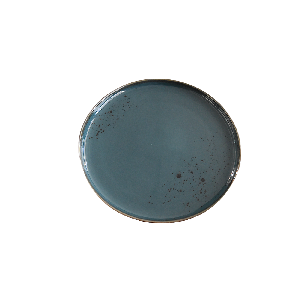 Terra 9.5" Round Plate Dap-New Blue