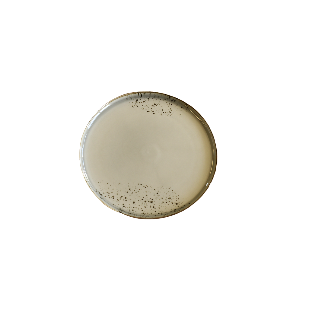 Terra 9.5" Round Plate Dap-Grey