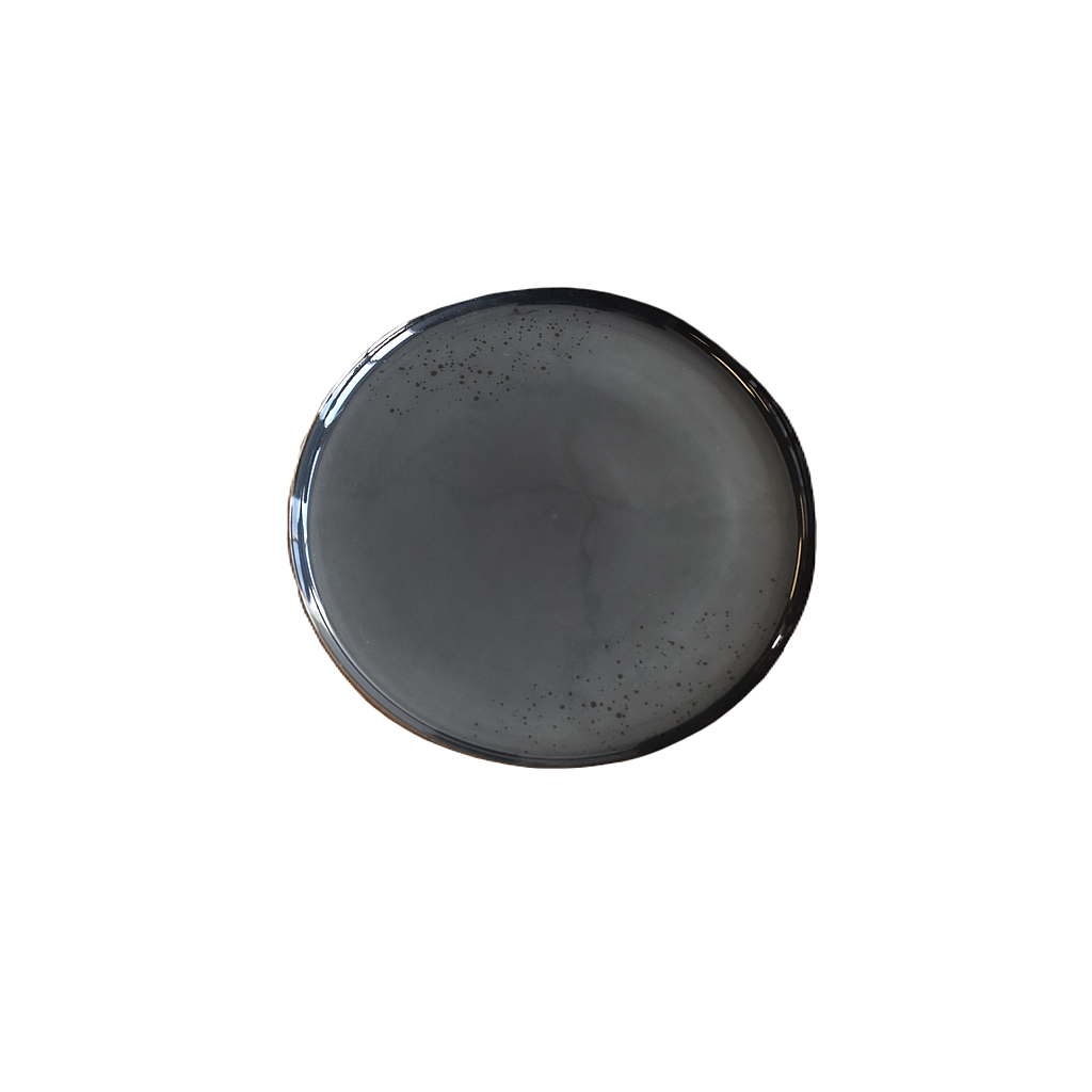 Terra 9.5" Round Plate Dap-Royal