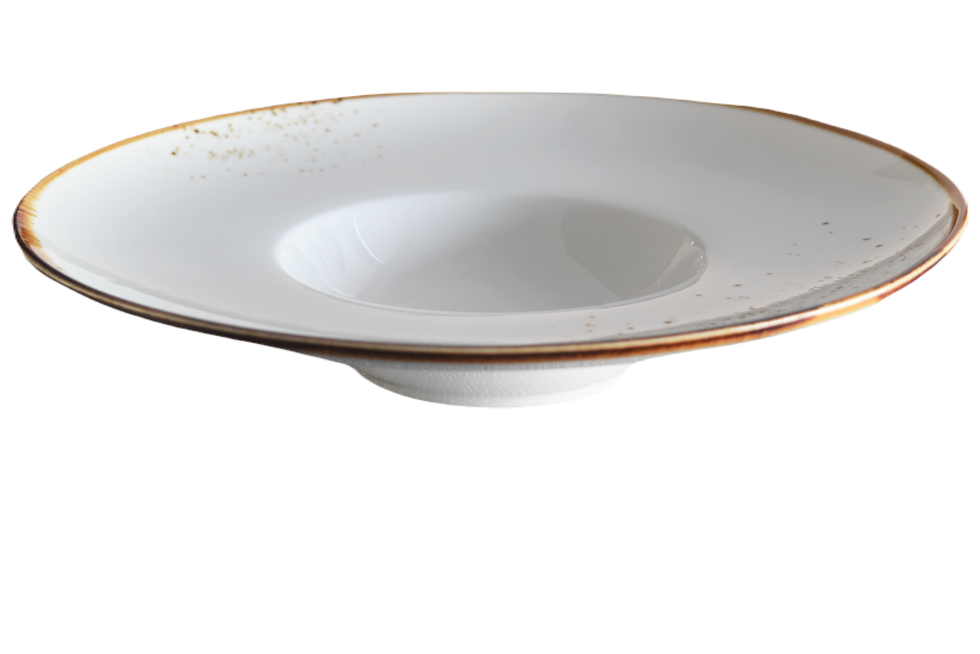 Terra 11.5" Risotto Plate Dap-White