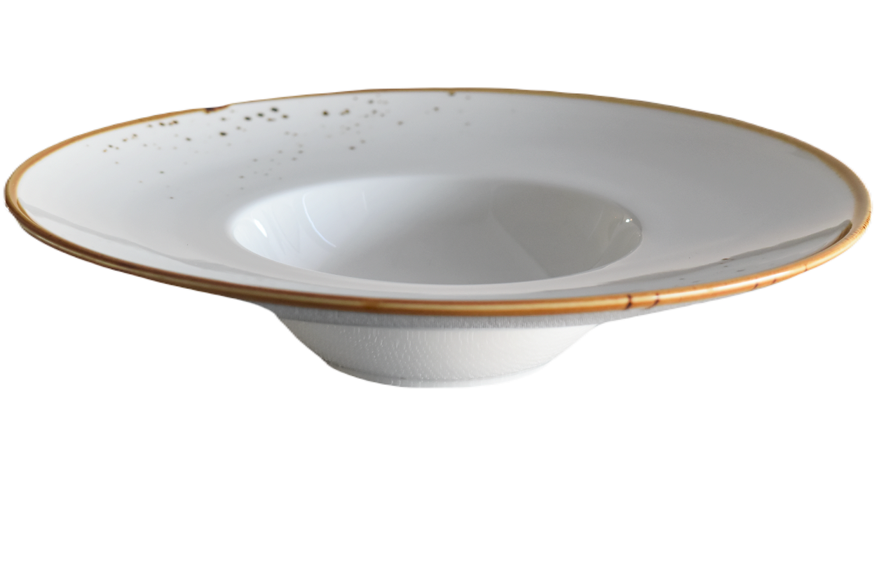 Terra 10" Risotto Plate Dap-White