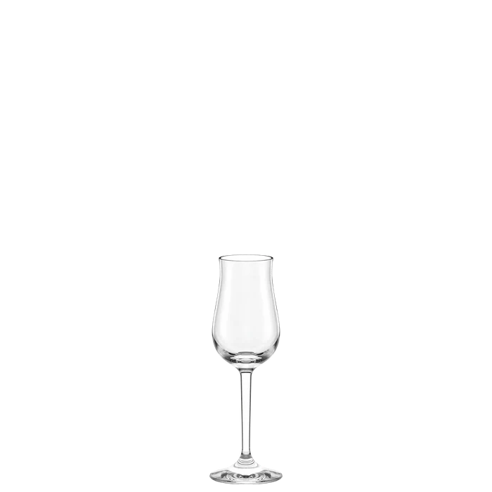 Large Grappa Glass Professional 104 ml