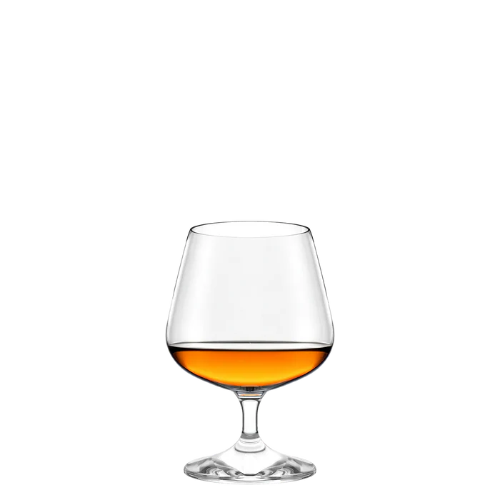 Cognac Glass Professional 425 ml