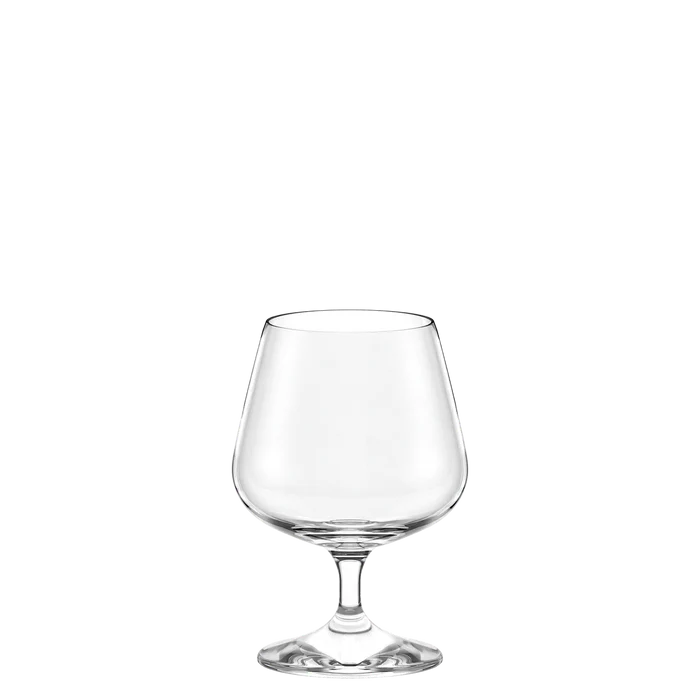 Cognac Glass Professional 425 ml