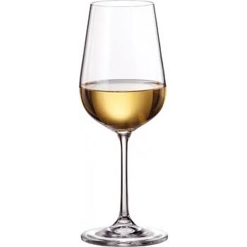Tori Wine Glass 390 ml