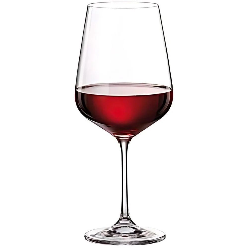 Tori Wine Glass 480 ml